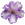 African Violet Care