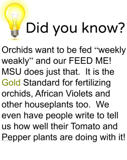 Did you know?