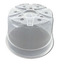 bottom of clear pot