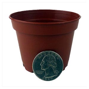 front of miniature plastic pot