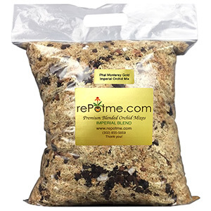 Orchid Potting Mix FAQ