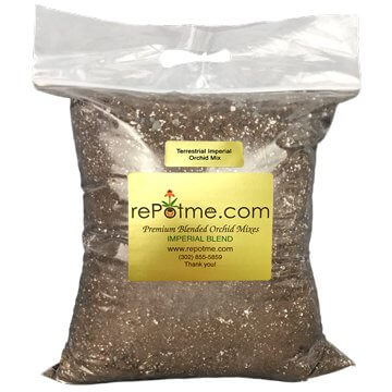Terrestrial Imperial Orchid Mix