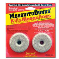 eliminate fungus gnats
