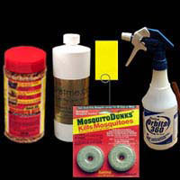 get rid of fungus gnats