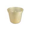 3" Golden Creme Slotted Violet Pot