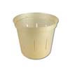 4" Golden Creme Slotted Violet Pot