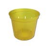 4" Yellow Topaz Slotted Violet Pot