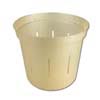 5" Golden Creme Slotted Violet Pot