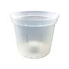 4" Clear Slotted Violet Pot