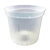 5" Clear Slotted Violet Pot