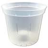 6" Clear Slotted Violet Pot