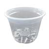Crystal Clear Plastic Pot - 6"