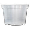 Rigid Clear Plastic Pot - 6"